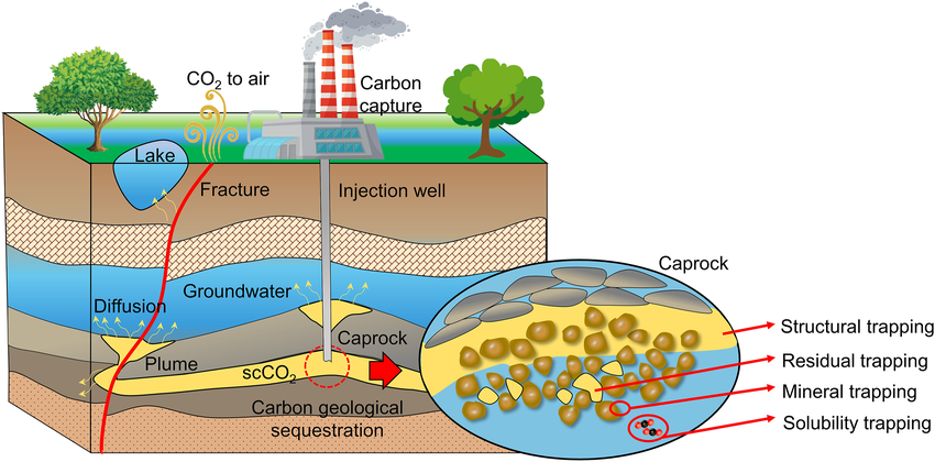 Biochar - Trapping of Carbons